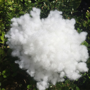 PP珍珠棉 特性、應(yīng)用與市場采購指南